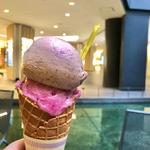 ジェラート2種盛りコーン(BAR & GELATERIA RAFFINATO グランフロント大阪店)