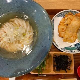 カツオ油香る ひやかけ塩うどん(かしわ天付)(うどん塩釜)