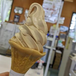 味噌ソフトクリーム