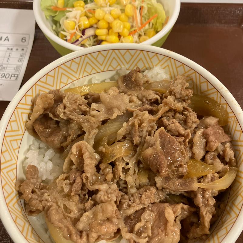 牛丼 並+サラダ(すき家 多摩乞田店 )