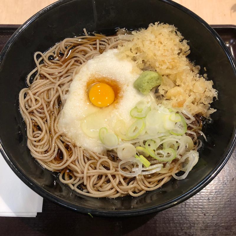 冷やしとろろそば(蕎麦酒処 つきじ亭)