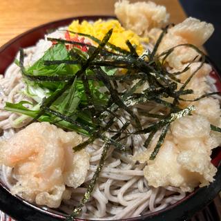 海老おろし蕎麦(そばとお酒　八雲 さっぽろ地下街オーロラタウン店)