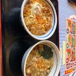 かき揚げ丼【たぬきそば Aセット】