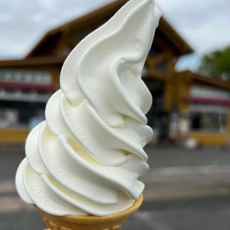 ミルクランド牛乳でつくったソフトクリーム(富士朝霧高原　富士ミルクランド )