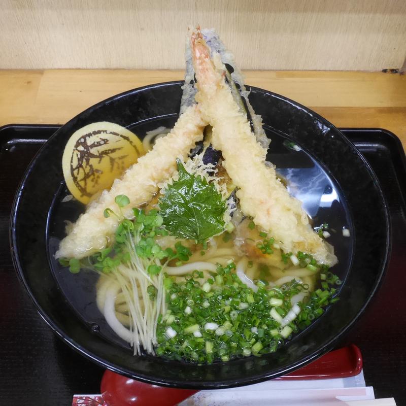 天ぷらうどん(手打ちうどん 紅屋)