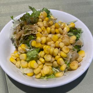 サラダ(インド料理マントラ 幕張店)
