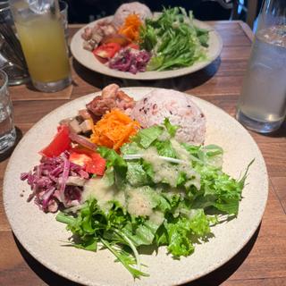 (cafe&bar spread rui スプレッドルイ)