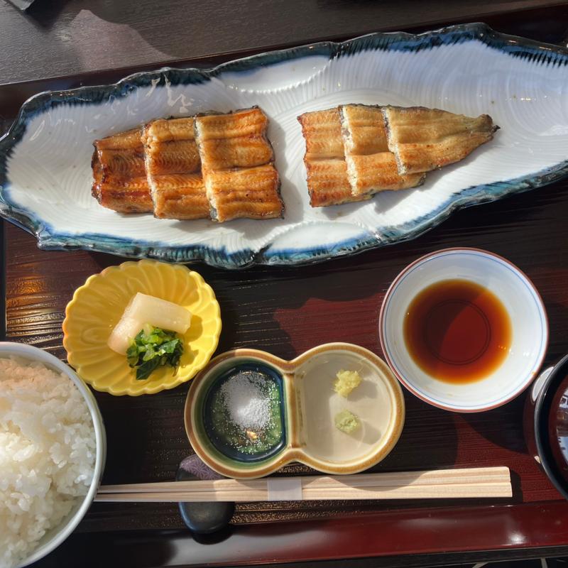 うなぎ御膳(元城亭)