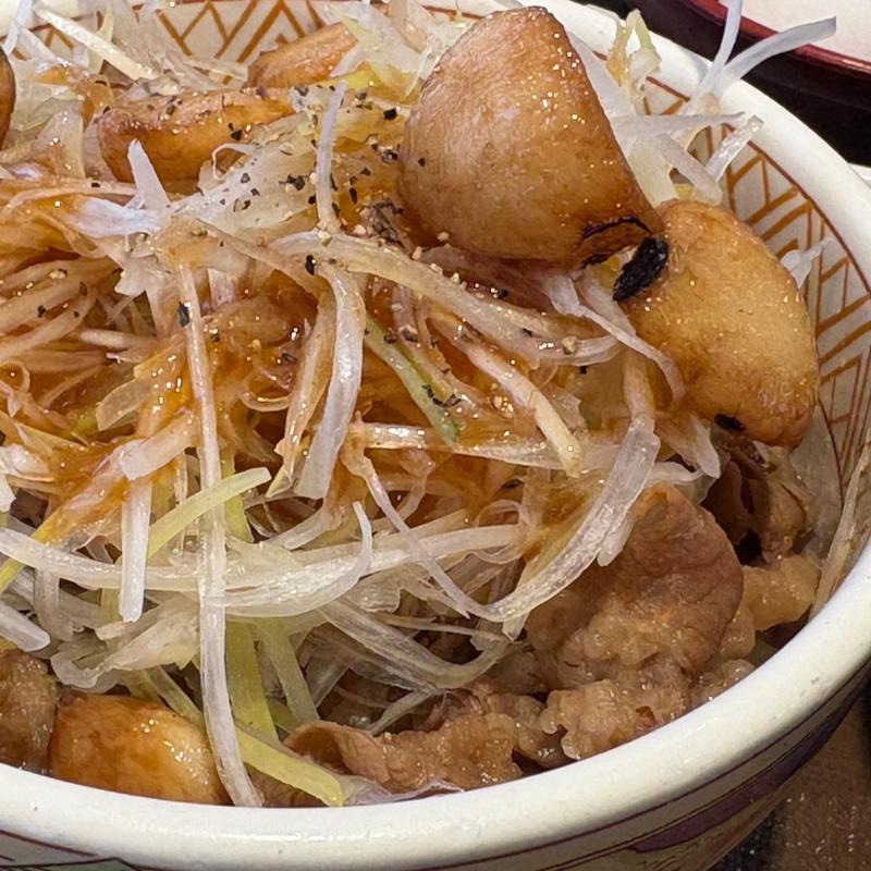牛丼ミニ➕ニンニク白髪ねぎ(すき家 横浜善部町店 )