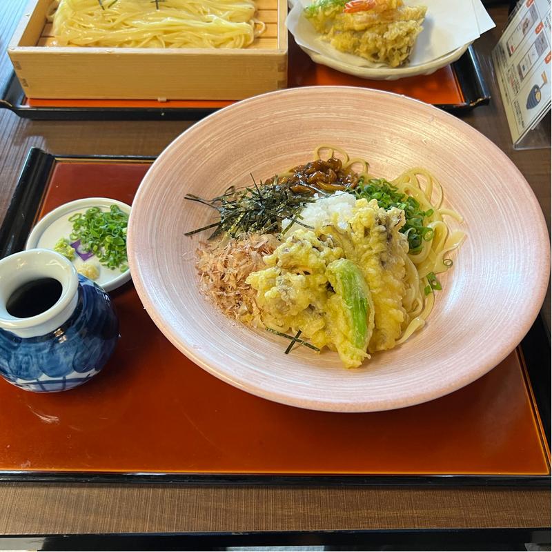 天おろし文吉うどん(鶴華 波積屋 （つるがはずみや）)