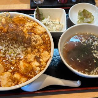 麻婆 飯と焼きそばのハーフ＆ハーフ(龍花 （ロンファー）)