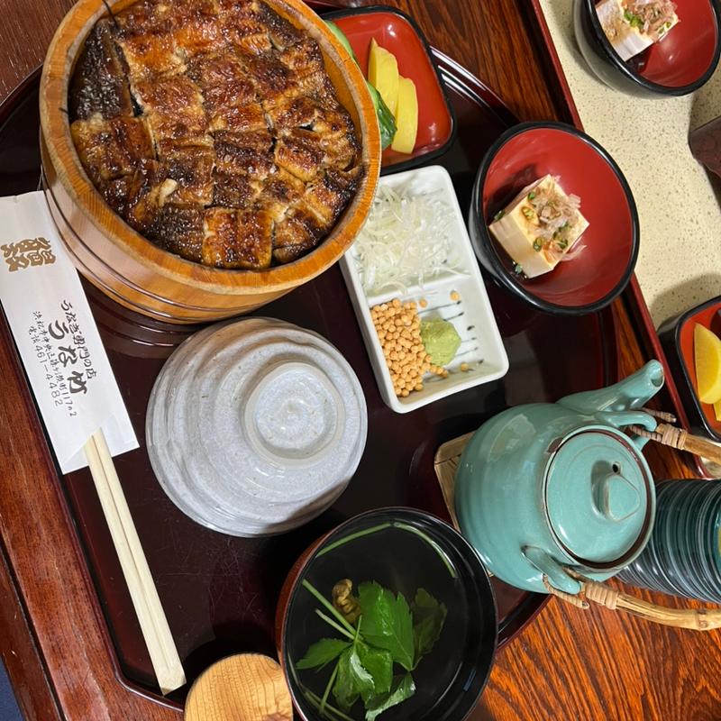 うなぎ茶漬け(うな竹 )