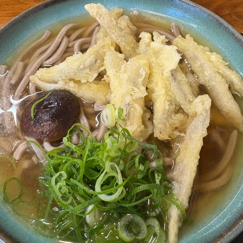 ごぼう天そば(ドライブイン山乃茶家)