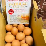(たまごの国 いでは・COCCO)