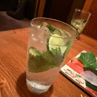 (浜菜虎)