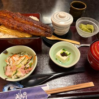 豪快！うな玉1本重