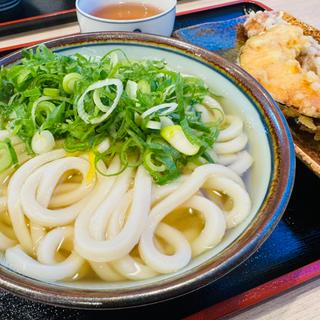 かけうどん(うどん 香麦 (こむぎ))