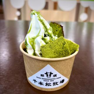 牛乳ソフトに抹茶づくし(千本松牧場ソフトクリーム ジョイフルホンダ宇都宮店 （せんぼんまつぼくじょう）)