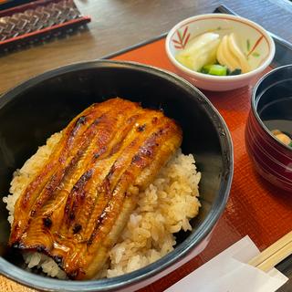 うな丼(越後屋 本店)