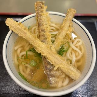 ごぼう天うどん