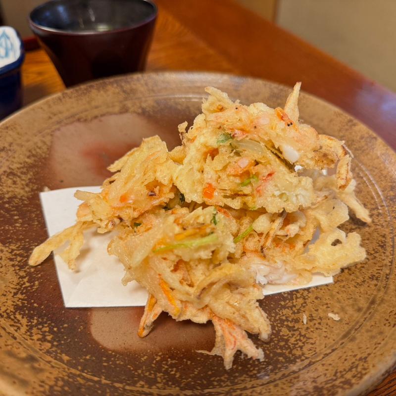 かき揚げ定食(快積八衛)