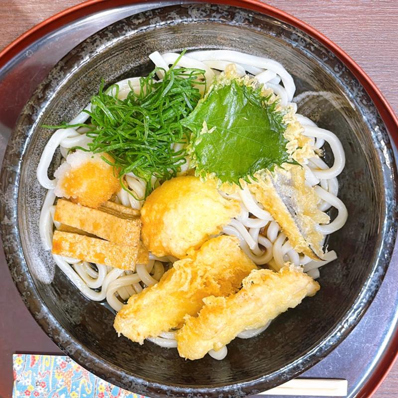 鶏天と玉子天の ぶっかけうどん(杬之蔵 イオンモール京都桂川店 （モトノクラ）)