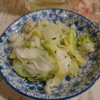 昆布がりきゃべつ(魚と酒はなたれ 野毛本店)