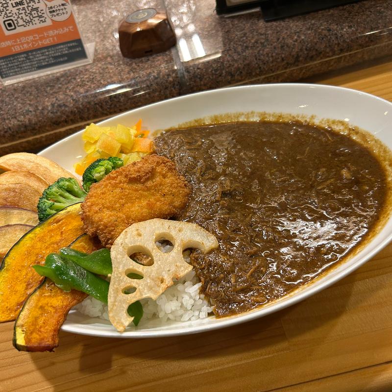 ハッシュドチキンカレー・大(coocy)