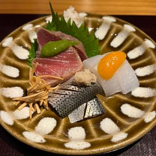 (松濤 はろう)