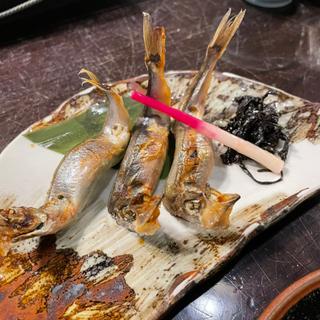 ししゃも(陸蒸気)