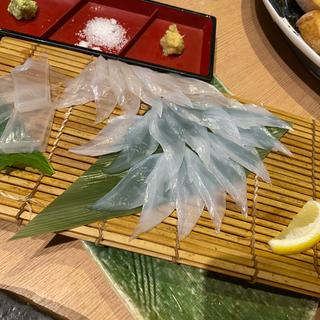 活イカアオリイカ刺し(上野イカセンター)