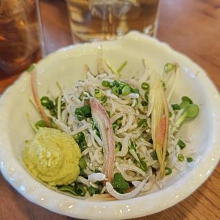 しらすとミョウガのさっぱり和え(大船一丁目やきとん)