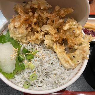 湘南しらす丼