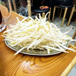 もやし(ジンギスカン羊はち 三軒茶屋店)