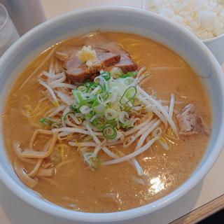 味噌ラーメン(IORI (イオリ))