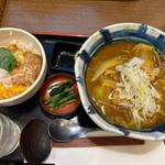 カツ丼カレー南蛮セット