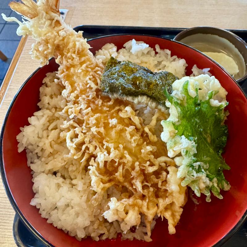 天ぷら丼(北陸そば そば一)