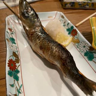 イワシ丸焼き