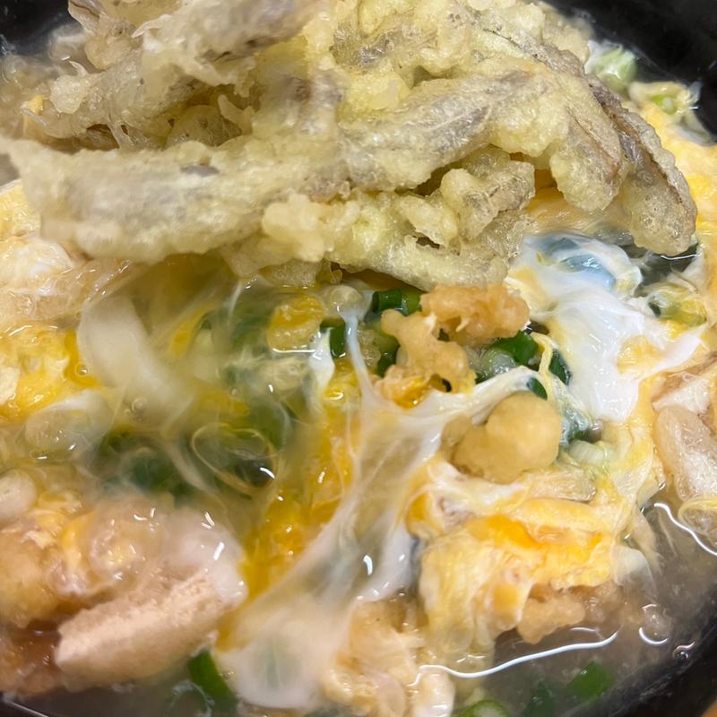 (とく一・手打うどん )