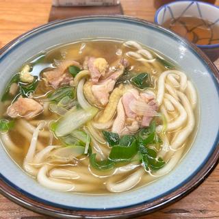 千成うどん(千成餅食堂 山科店 )