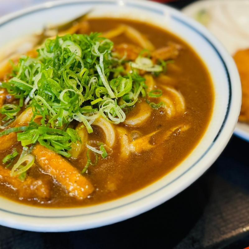 カレーうどん(うどん村 辰巳店 )