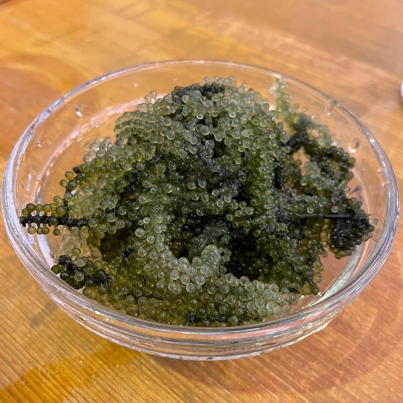 海ぶどう(築地 男前鮨)