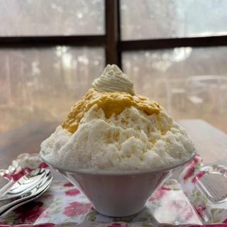 とうもろこしみるく(かき氷カフェポニー )