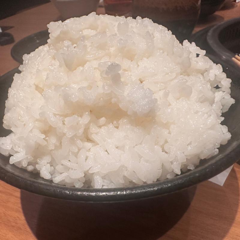ライス大(焼肉　山河 亀有店 )