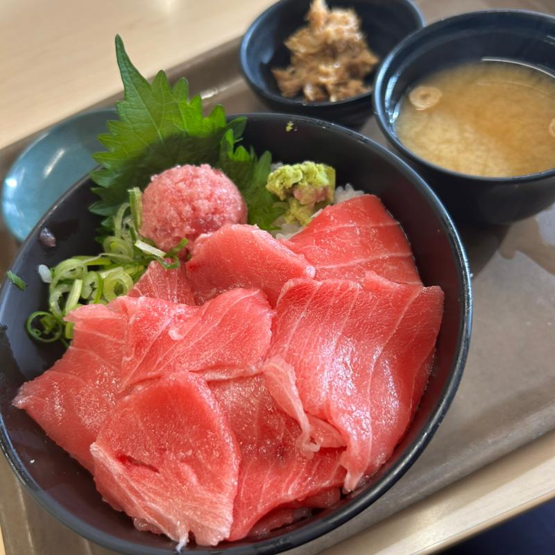 本鮪中トロ丼(大遠会館 まぐろレストラン )