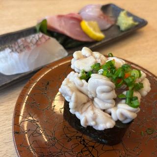 白子(回転寿司江戸ッ子 神田店)