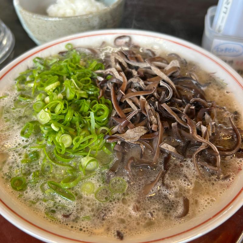 博多ラーメン(なみへい )