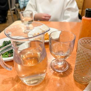 白デカンタ(500ml)(サイゼリヤ 栄センタービル店)