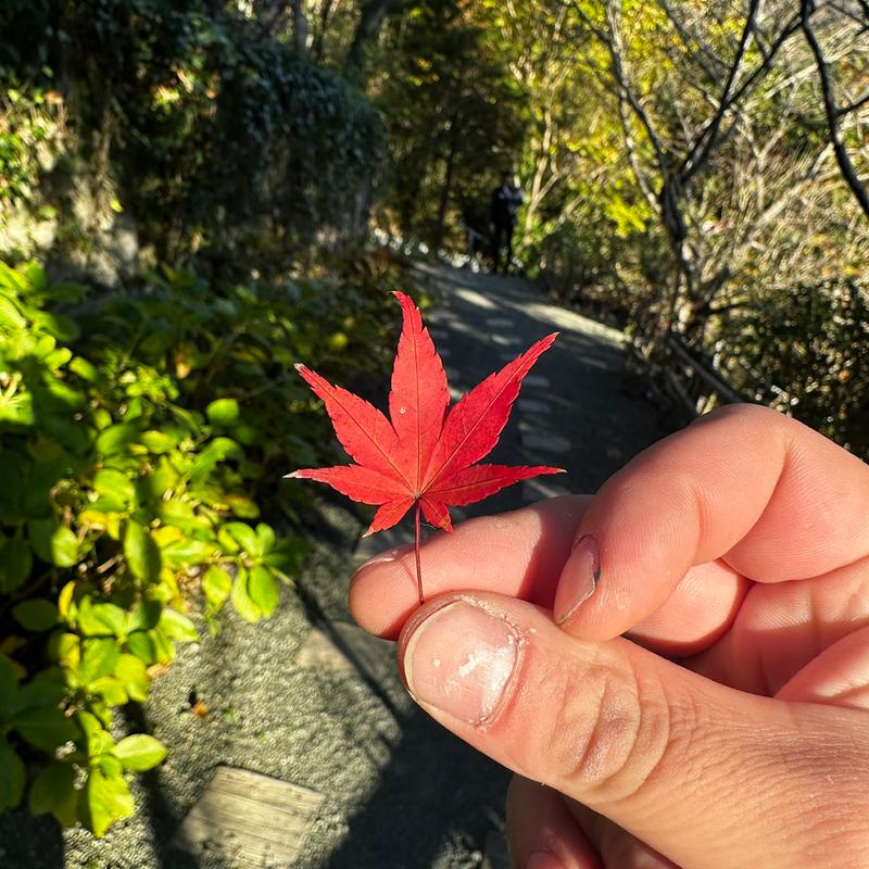 (手打ちそば 石庄庵 （いししょうあん）)