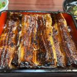 蒲焼御飯(寿々㐂蒲焼店)